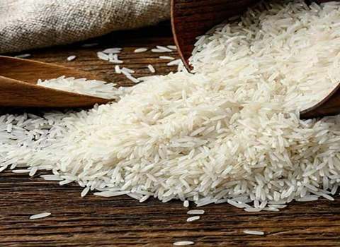 قیمت خرید برنج دانه بلند شیرودی + فروش ویژه
